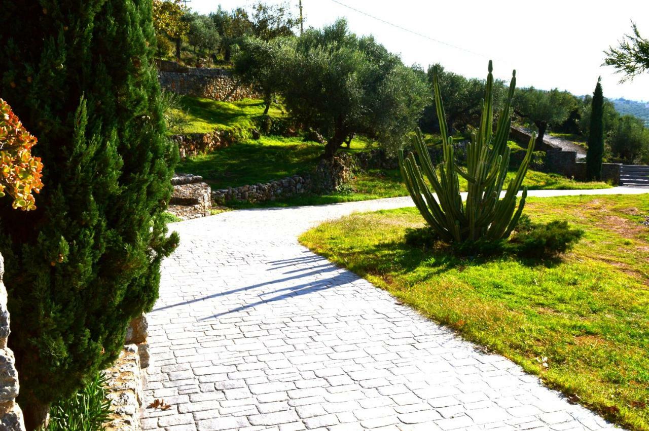 Aloe Meli Apartment Kalamata